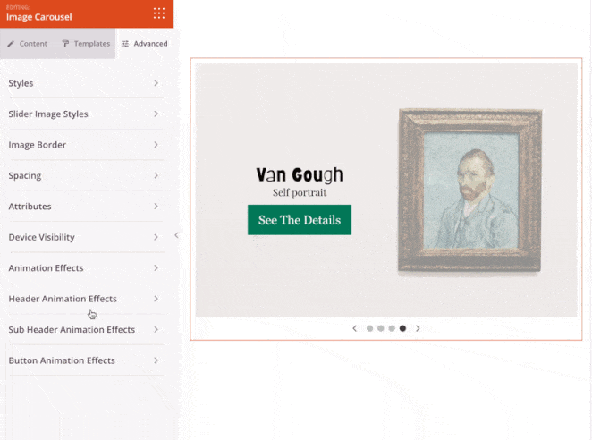 carousel-animation-effects - SeedProd Adding animations to headers and buttons in SeedProd's image carousel block