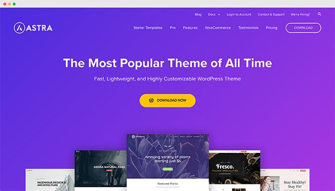 Astra WordPress theme