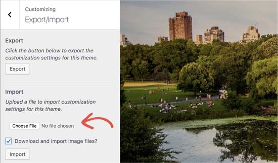 Uploading and importing a .dat file to transfer theme customizer settings
