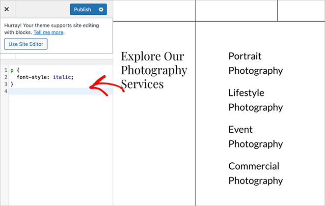 how to add custom CSS in WordPress theme with SeedProd