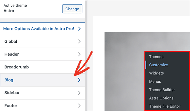 blog-settings-WordPress-customizer - SeedProd Astra WordPress theme customizer blog settings