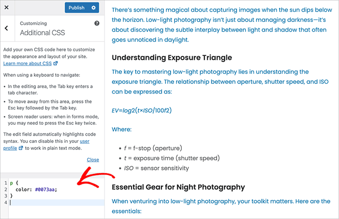 how to add custom CSS in WordPress using the theme customizer