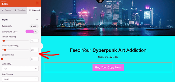 customize-call-to-action - SeedProd SeedProd landing page builder showing a visually distinct CTA button with spacing, styling, and clean layout.