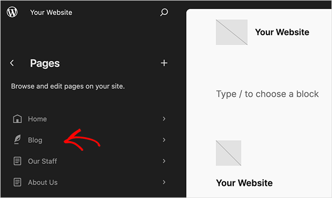 full-site-editor-blog-option - SeedProd WordPress full site editor blog page option