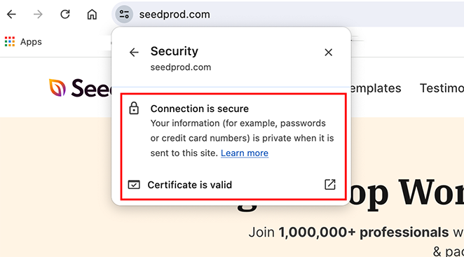 Padlock icon in browser address bar showing SSL is active on a secure WooCommerce site