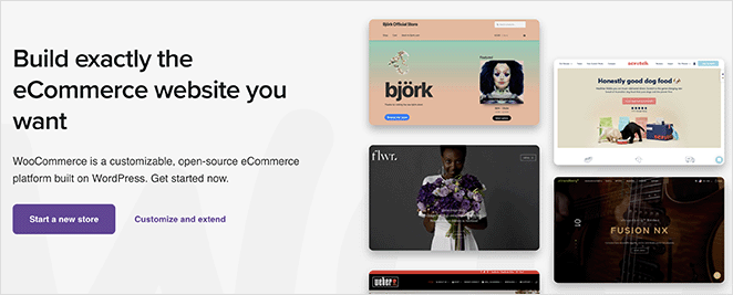 WooCommerce eCommerce plugin for WordPress