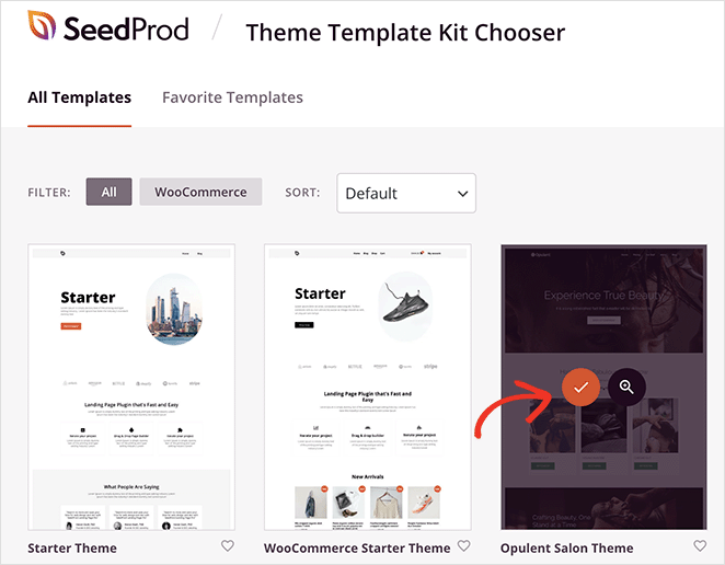 WordPress-theme-template-kit - SeedProd Choose a SeedProd website kit from the themes library